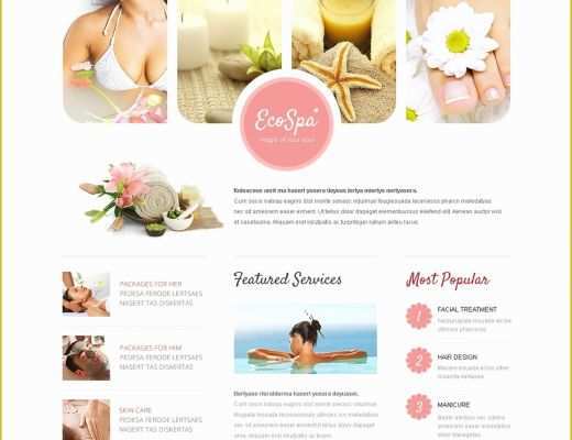 Spa Website Templates Free Download Of Beauty Salon Website Template