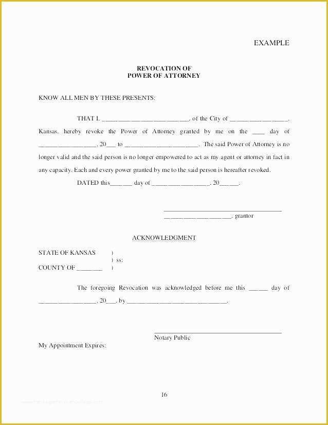 Special Power Of attorney Template Free Of Power attorney Template Doc Power attorney Template