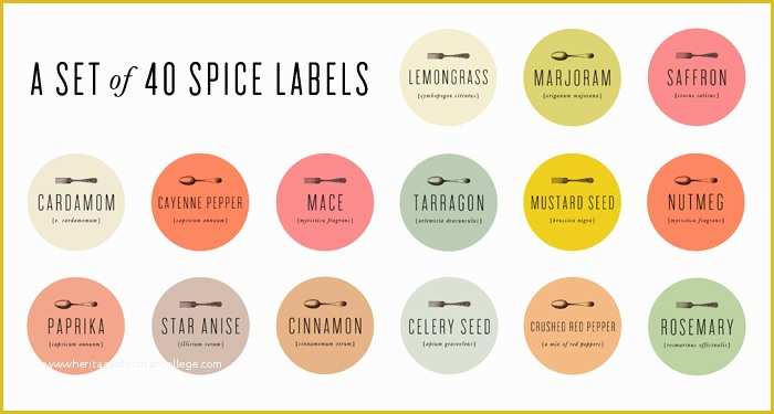 Spice Jar Label Template Free Of 24 Creative Spice Jar Labels
