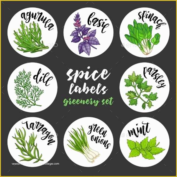 Spice Jar Label Template Free Of 7 Spice Jar Label Templates Free Printable Psd Word