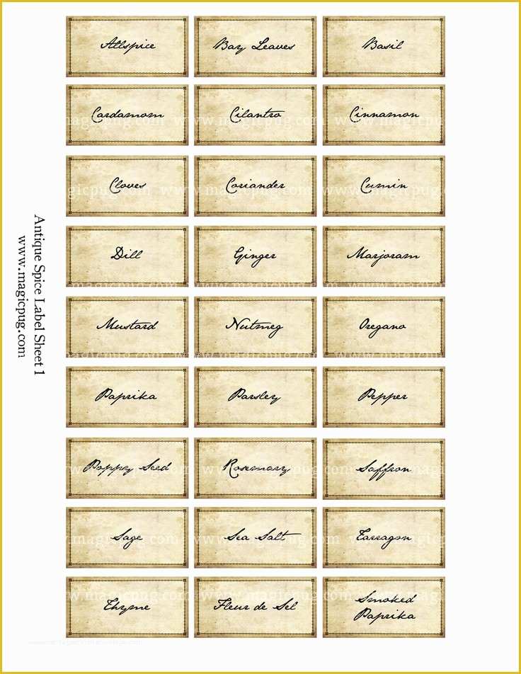 Spice Jar Label Template Free Of Best 25 Spice Labels Ideas On Pinterest