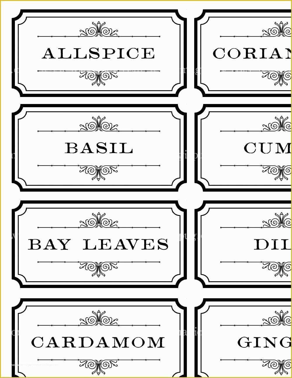 Spice Jar Label Template Free Of Black and White Spice and Herb Labels Set Digital Collage