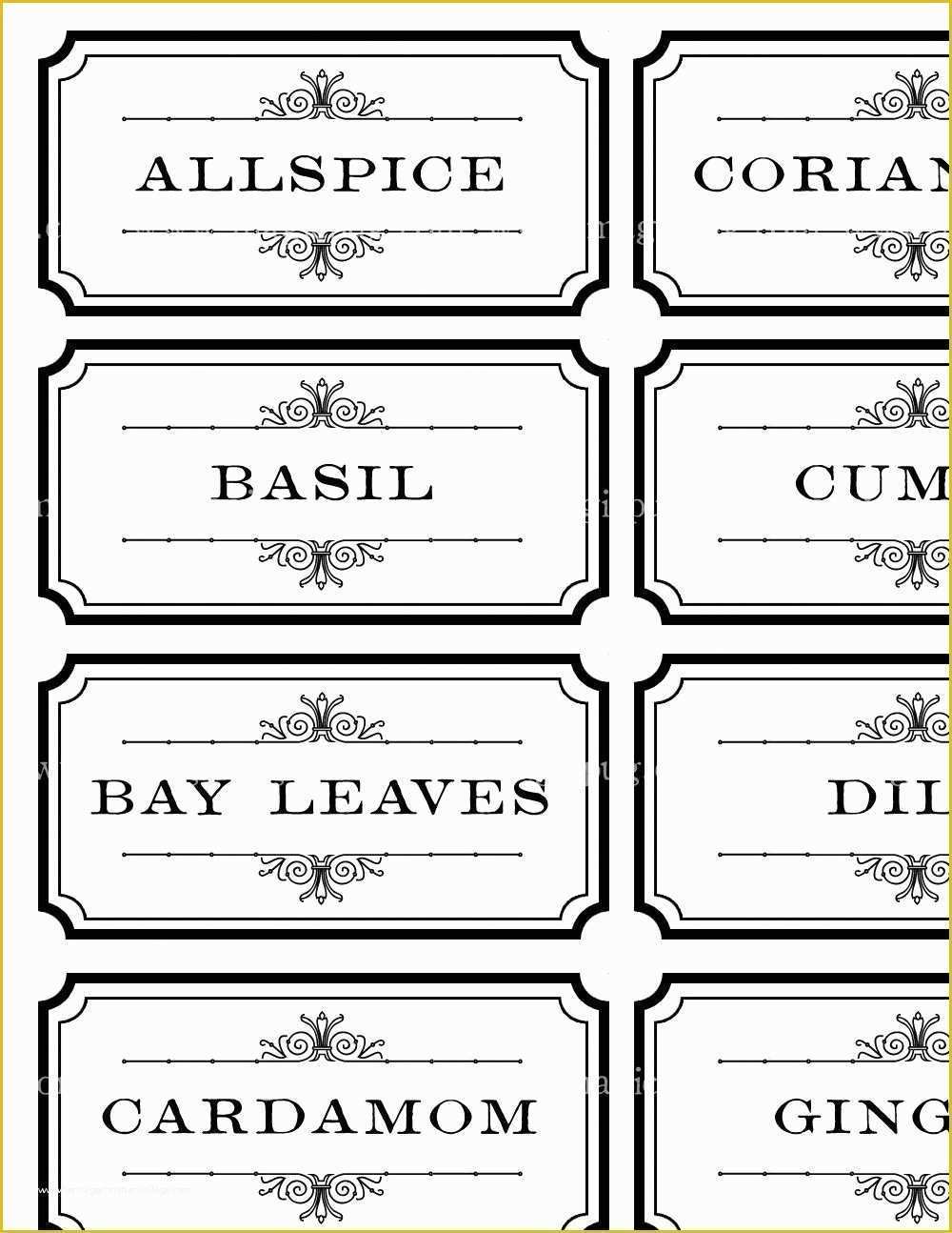 Spice Jar Label Template Free Of Black And White Spice And Herb Labels Set Digital Collage