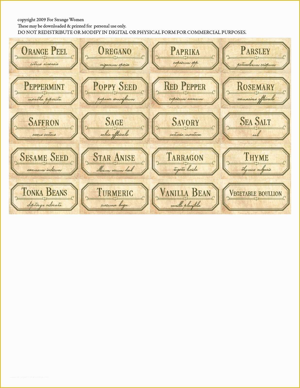 Spice Jar Label Template Free Of for Strange Women Diy Spice Jar Labels A Free