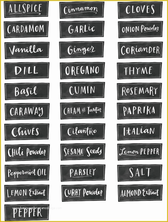 Spice Jar Label Template Free Of Kitchen Spice Jar & Pantry organizing Labels