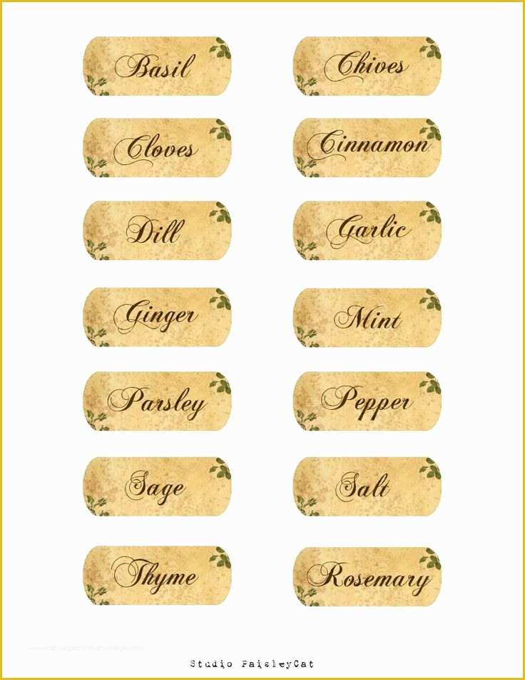 Spice Jar Label Template Free Of Studio Paisleycat S Freebie Blog Spice Jar Labels