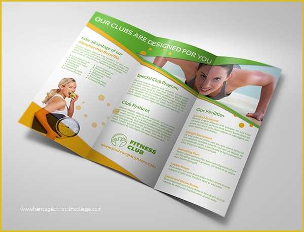 Sport Brochure Templates Free Of 17 Gym Brochure Templates Free Psd Ai Vector Eps