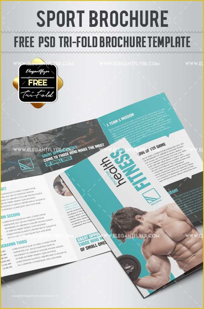 Sport Brochure Templates Free Of 93 Premium and Free Psd Tri Fold & Bi Fold Brochures