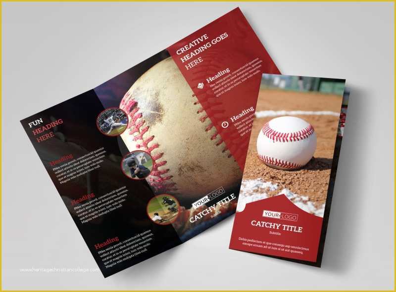 Sport Brochure Templates Free Of Baseball Camp Brochure Template