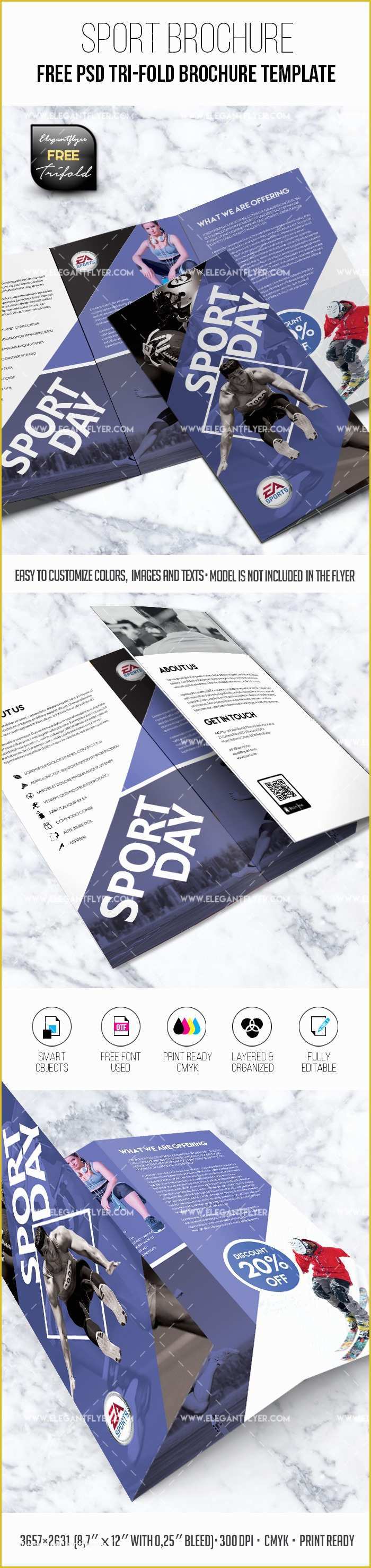 Sport Brochure Templates Free Of Sport Brochure Template – Free Tri Fold In Psd – by