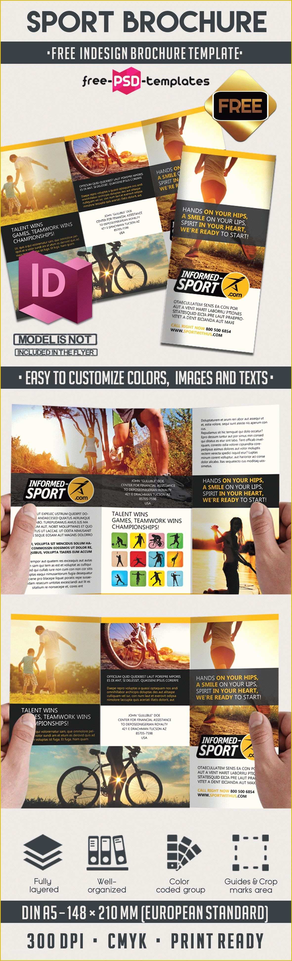 Sport Brochure Templates Free Of Sport Free Indd Tri Fold Brochure Template