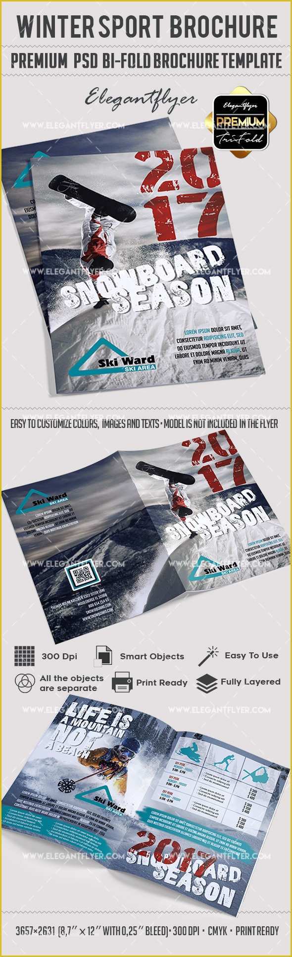Sport Brochure Templates Free Of Winter Sport – Premium Bi Fold Psd Brochure Template – by