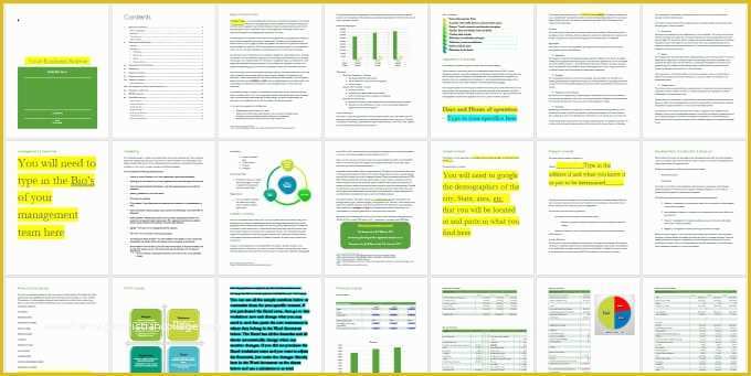 Sports Bar Business Plan Template Free Of Juice Bar Business Plan Template Sample