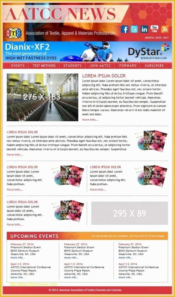 Staff Newsletter Templates Free Of Employee Newsletter Template