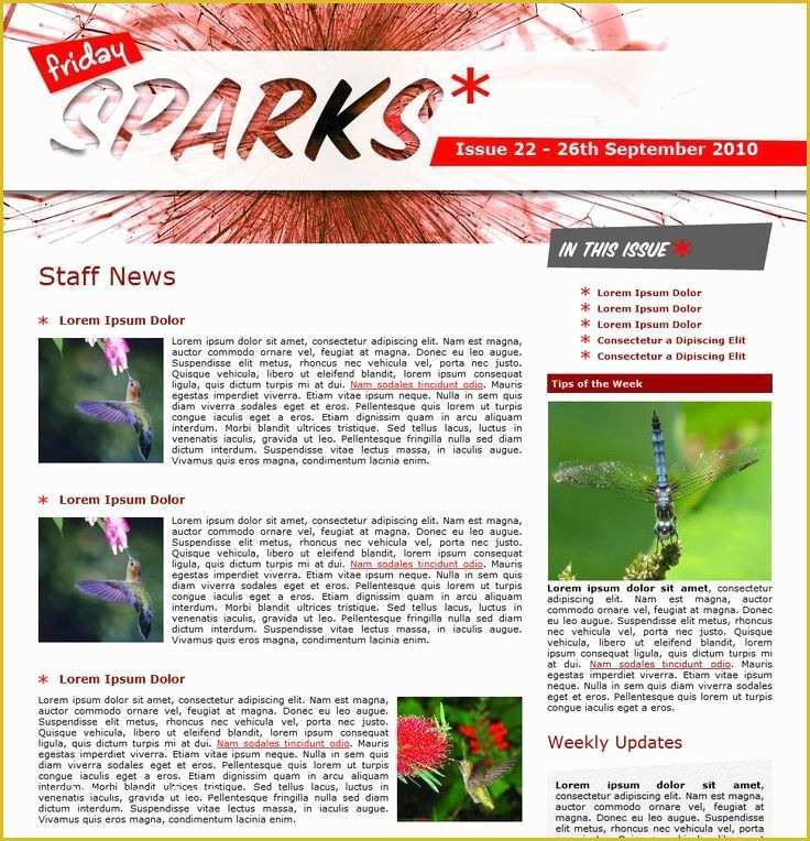 Staff Newsletter Templates Free Of Employee Newsletter Template