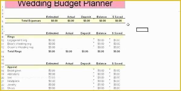 Startup Business Plan Template Free Download Of Financial Projections Template