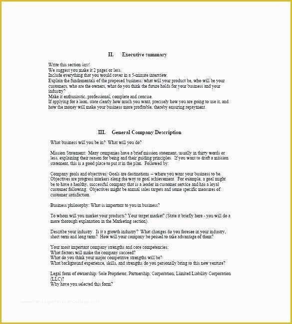 Startup Business Plan Template Free Download Of Startup Business Plan Examples – Blogopoly