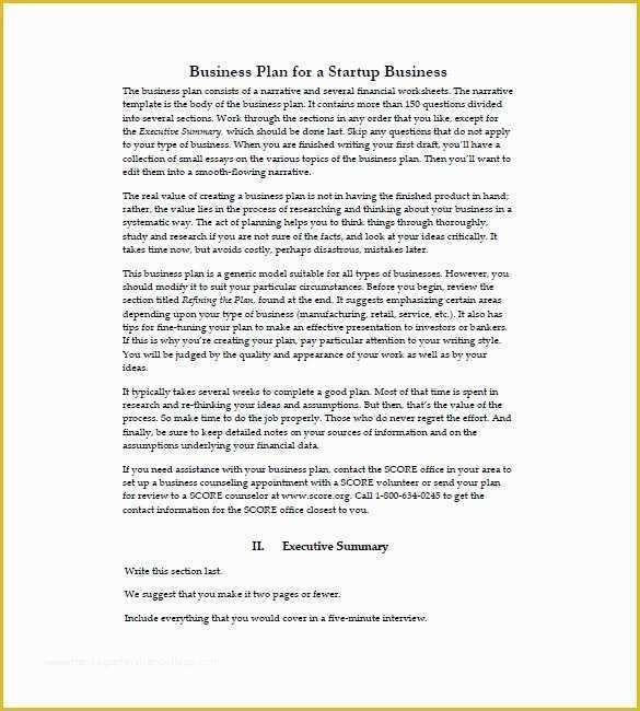 Startup Business Plan Template Free Download Of Startup Business Plan Template 19 Word Excel Pdf