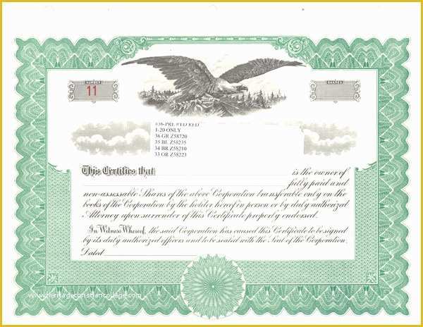 Stock Certificate Template Free Download Of Stock Certificate Template Blank Share Certificate