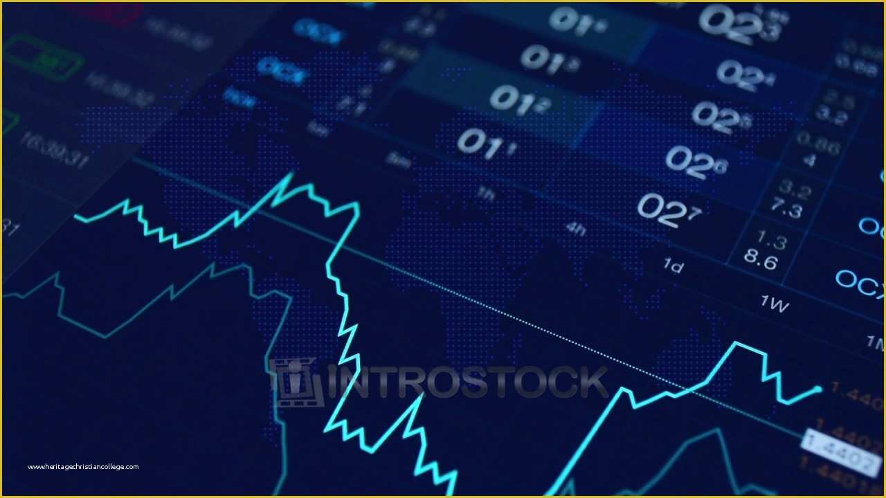 Stock Market Website Template Free Of Stock Market Video Set ? Loop Video Background for