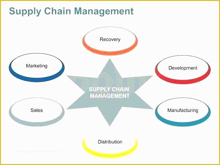 Supply Chain Diagram Template Free Of Supply Chain Diagram Template Free Management Principles