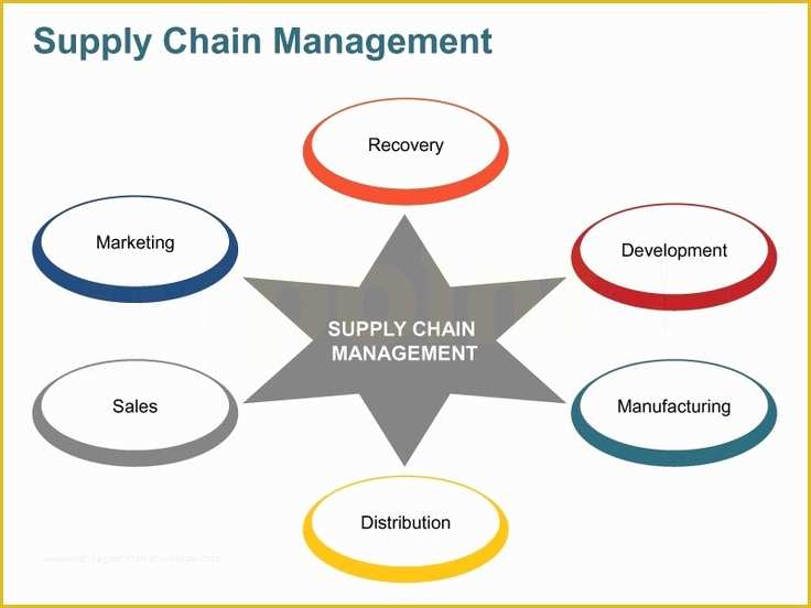 Supply Chain Template Free Of Supply Chain Management Value Chain Slides
