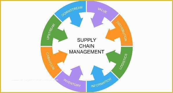 Supply Chain Template Free Of Supply Chain Ppt Supply Chain Management