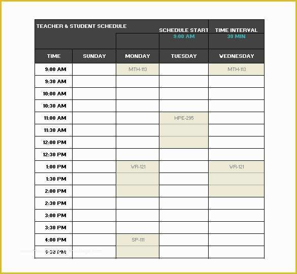 Teacher Schedule Template Free Of Teacher Schedule Template – 9 Free Sample Example format