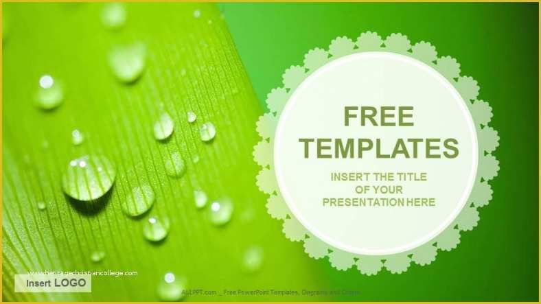 Template Free Download Of Droplets Nature Ppt Templates Download Free
