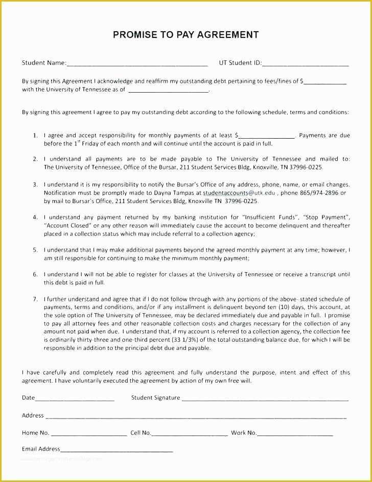 Terms Of Use Agreement Template Free Of Free Terms Of Use Template