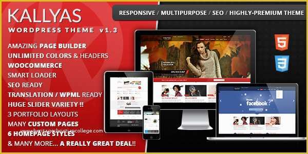 Themeforest Free Templates Of Kallyas Wordpress themeforest theme