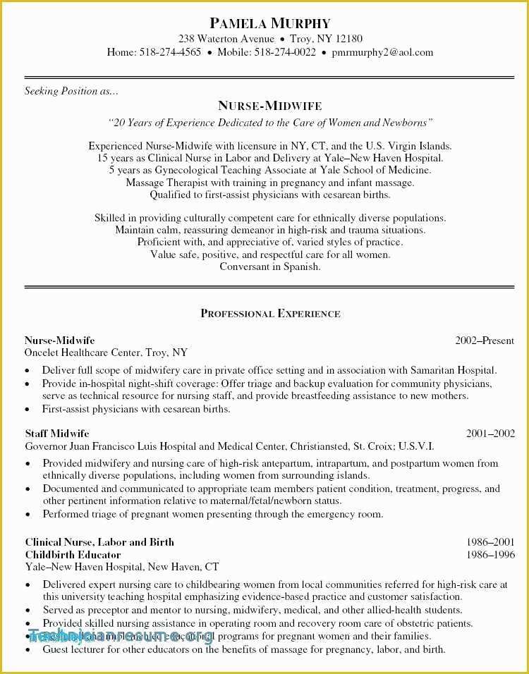 Top Free Resume Templates 2017 Of Executive Resume Template Free Executive Resume Templates