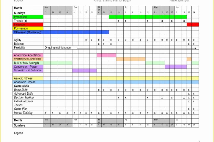 Training Plan Template Excel Free Of Training Schedule Template Excel