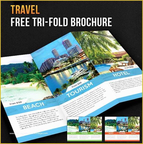 Travel Brochure Template Free Of Free Psd Travel Brochure Design Templates