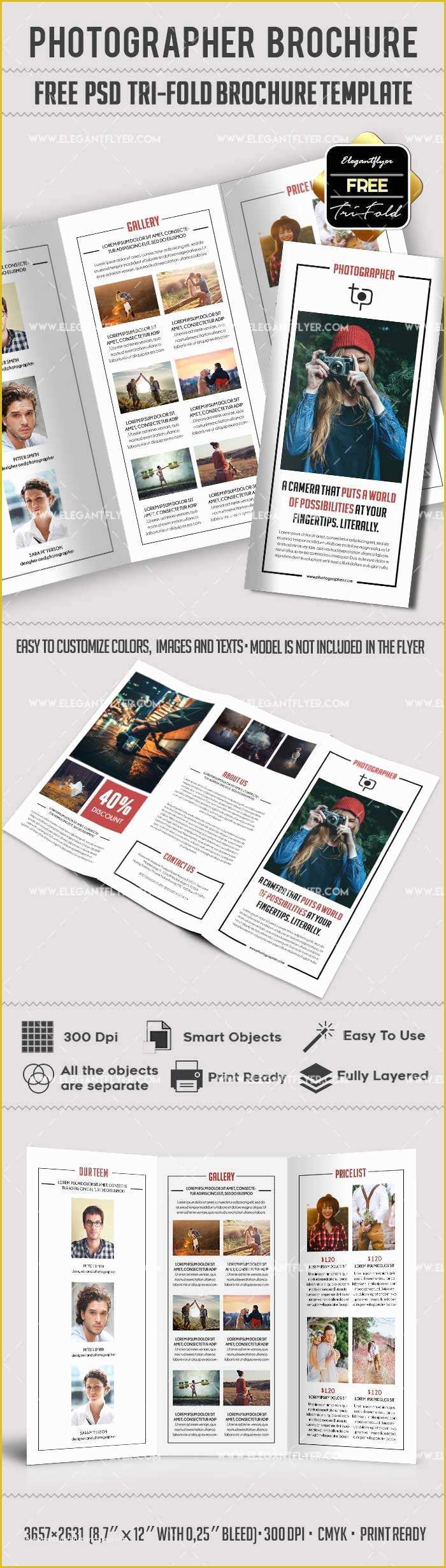 Tri Fold Brochure Template Free Of Free Grapher – Free Psd Tri Fold Psd Brochure