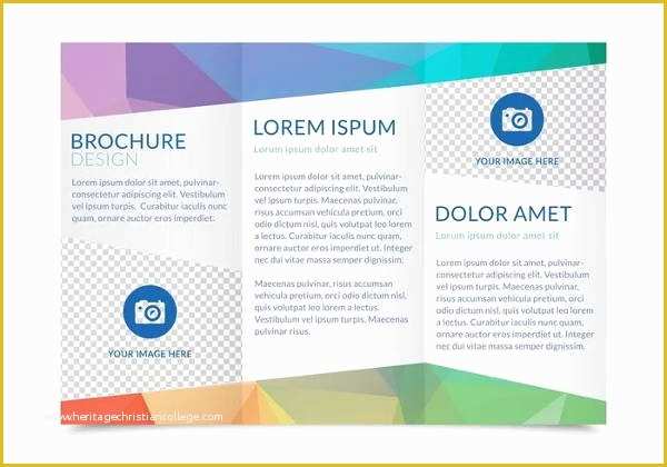 Tri Fold Brochure Template Psd Free Download Of 6 Trifold Templates Printable Psd Eps Ai format Download