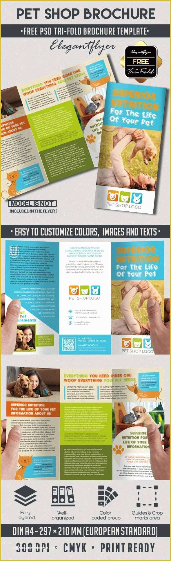 Tri Fold Brochure Template Psd Free Download Of Download Pet Shop – Free Psd Tri Fold Psd Brochure