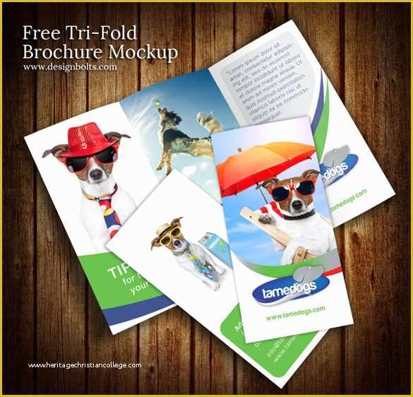 Tri Fold Brochure Template Psd Free Download Of Free Brochure Templates 60 Free Psd Ai Vector Eps