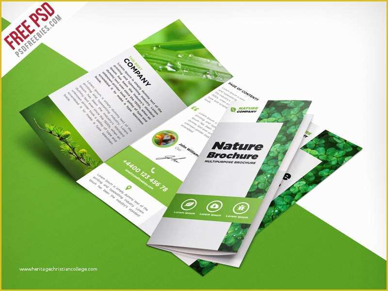 Tri Fold Brochure Template Psd Free Download Of Nature Tri Fold Brochure Template Free Psd