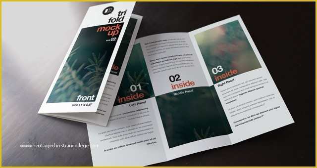 Tri Fold Brochure Template Psd Free Download Of Psd Tri Fold Mockup Template Vol2