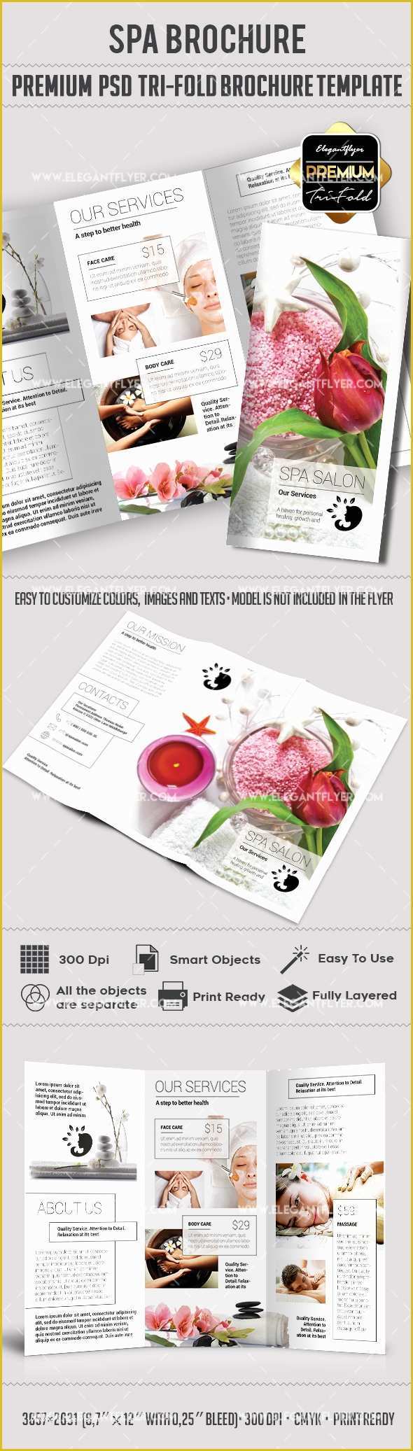 Tri Fold Brochure Template Psd Free Download Of Tri Fold Brochure for Spa Salon Template – by Elegantflyer