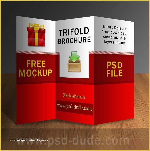 Tri Fold Brochure Template Psd Free Download Of Tri Fold Brochure Psd Free Template