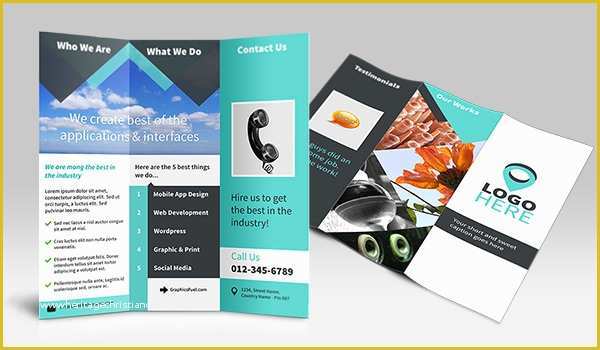 Tri Fold Brochure Template Psd Free Download Of Tri Fold Brochure Psd Mockup Download Psd