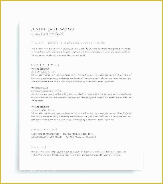 Two Column Resume Template Word Free Of E Page Resume Template Word E Page Pattern Resume