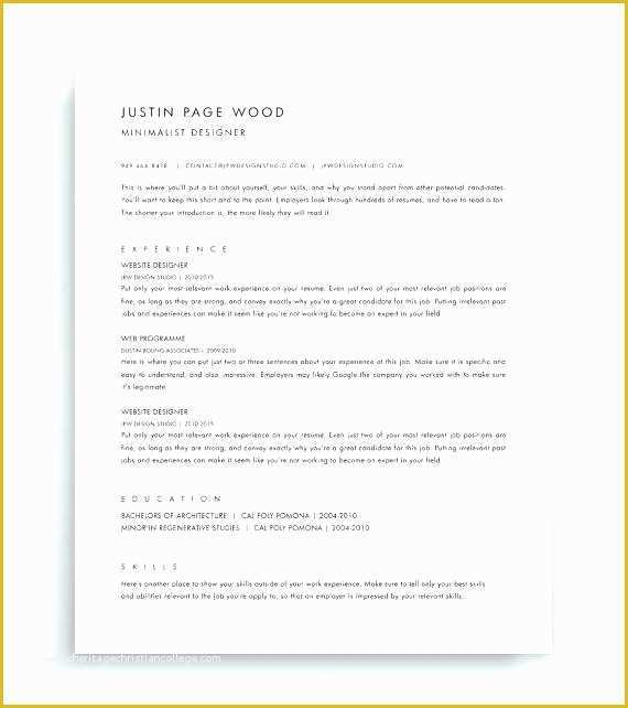 Two Column Resume Template Word Free Of E Page Resume Template Word E Page Pattern Resume