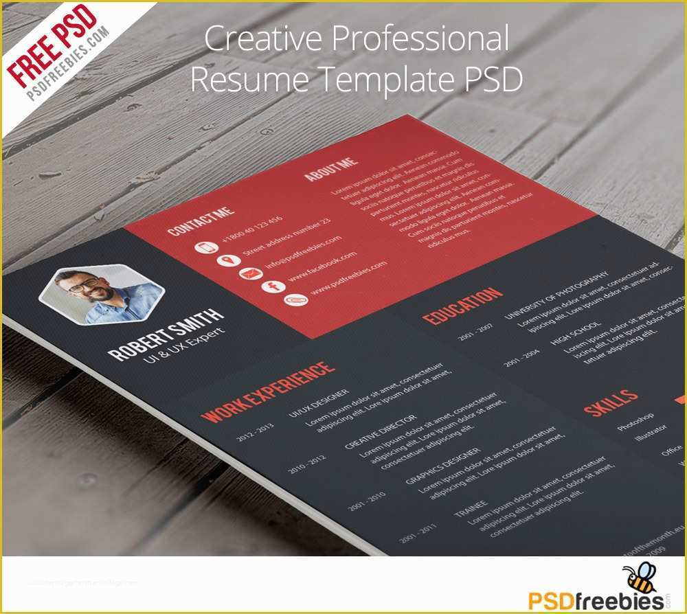 Unique Resume Templates Free Of Creative Professional Resume Template Free Psd