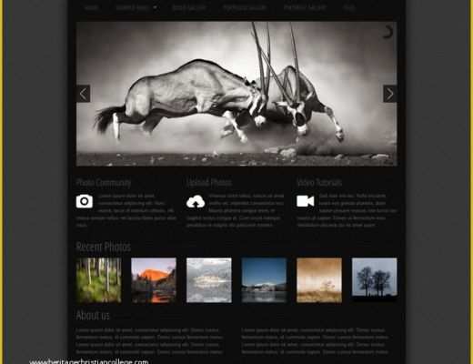Video Gallery Website Template Free Download Of Free Photo Gallery Css Web Template