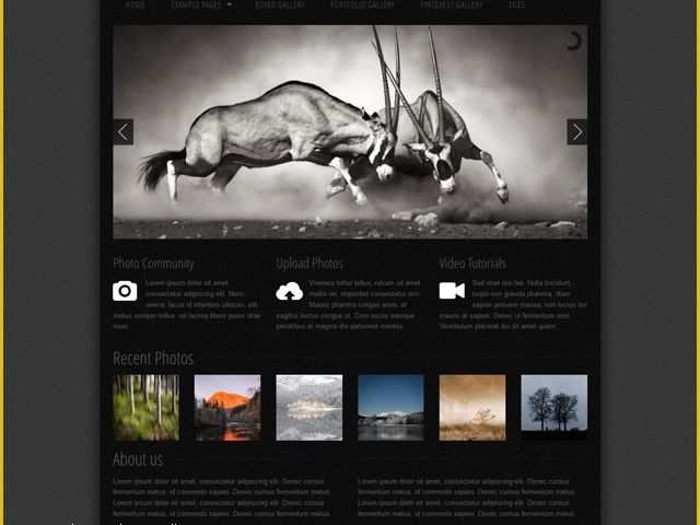 Video Gallery Website Template Free Download Of Free Photo Gallery Css Web Template