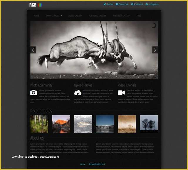 Video Gallery Website Template Free Download Of Free Photo Gallery Css Web Template