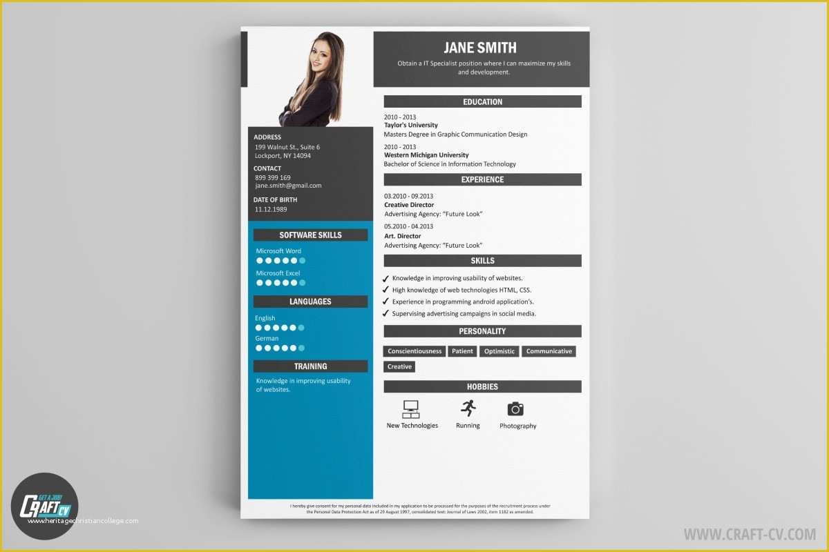 Video Template Maker Free Of Cv Maker Professional Cv Examples